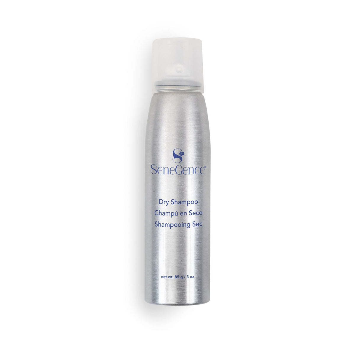 A silver-colored aerosol bottle with a clear cap, Dry Shampoo.