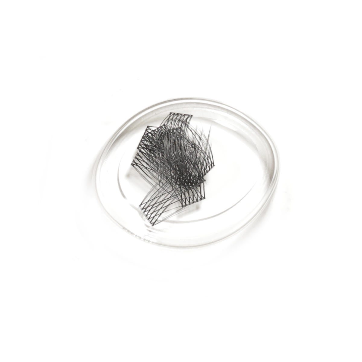 Black lash clusters in a clear round tray, LashSense Lashes Refill - Plumeria (4 ct.).